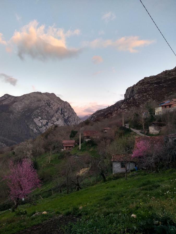 El Llagar Villa Vista  Eksteriør bilde